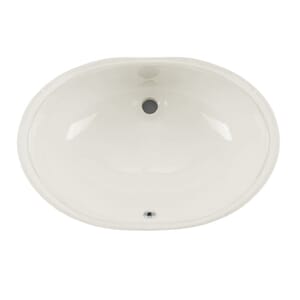 Undermount 19-1/4 in. Glazed Porcelain Oval Bathroom Sink