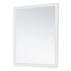 Juniper 22 in. x 32 in. Mirror