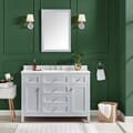 Juniper 48 in. Vanity in Dove Gray with Engineered Stone Top & Ceramic Basin